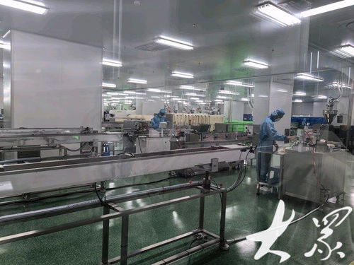 向 新 發(fā)力 從連年虧損到全國前三,這家淄博醫(yī)療器械企業(yè)12種產(chǎn)品填補(bǔ)國內(nèi)空白